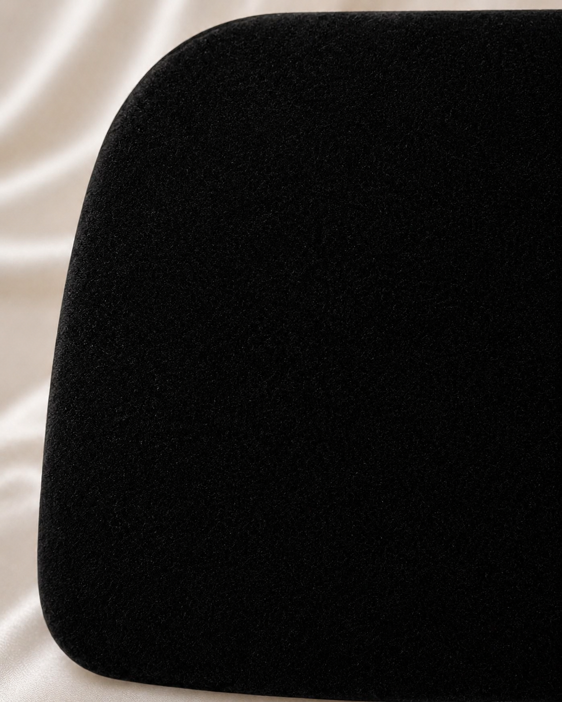 Black Velvet Serpent Clutch