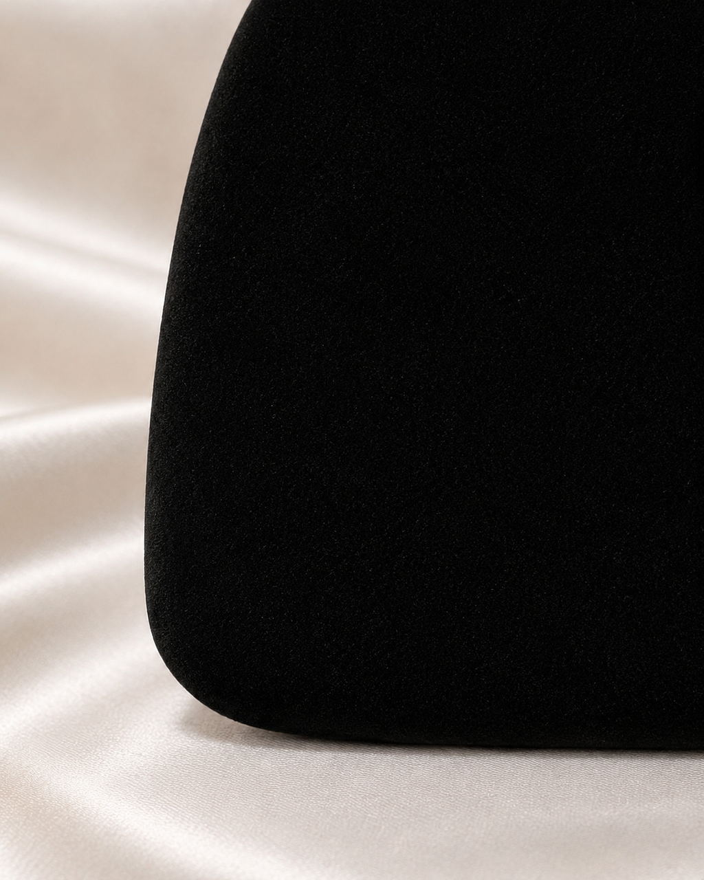 Black Velvet Serpent Clutch
